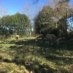 L'escapade De Jos , Et Table D'hote