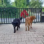 L'escapade De Jos , Et Table D'hote *