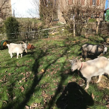 L'escapade De Jos , Et Table D'hote Bed & Breakfast *