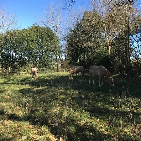 L'escapade De Jos , Et Table D'hote