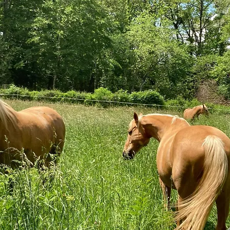 L'escapade De Jos , Et Table D'hote Bed & Breakfast Pont-de-Salars