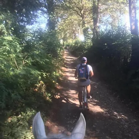 L'escapade De Jos , Et Table D'hote Bed & Breakfast *