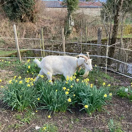 Bed & Breakfast L'escapade De Jos , Et Table D'hote