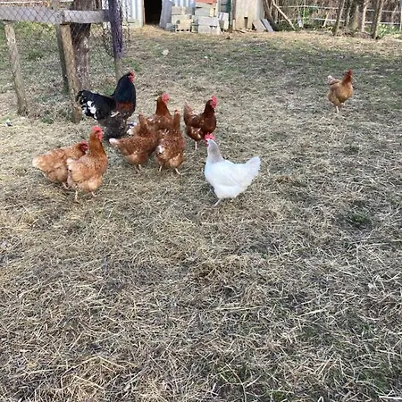 L'escapade De Jos , Et Table D'hote * Pont-de-Salars