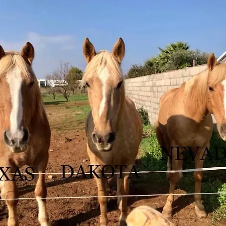 L'escapade De Jos , Et Table D'hote Bed & Breakfast *