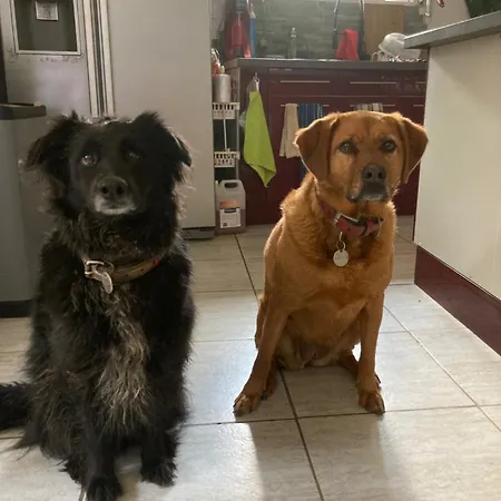 L'escapade De Jos , Et Table D'hote Pont-de-Salars