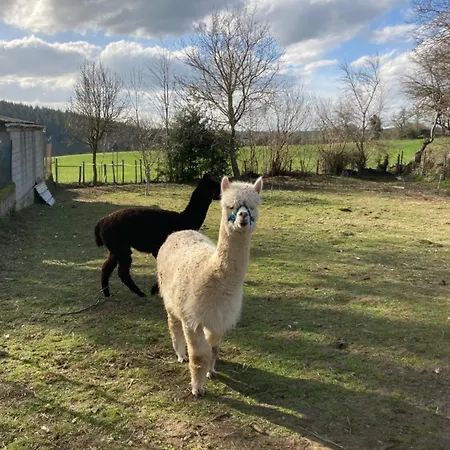 L'escapade De Jos , Et Table D'hote Bed & Breakfast *