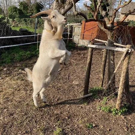 Bed & Breakfast L'escapade De Jos , Et Table D'hote Pont-de-Salars
