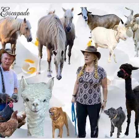 Bed & Breakfast L'escapade De Jos , Et Table D'hote