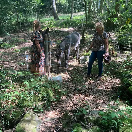 Bed & Breakfast L'escapade De Jos , Et Table D'hote *