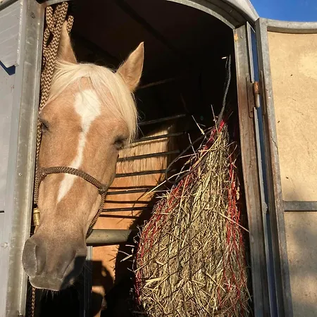 Bed & Breakfast L'escapade De Jos , Et Table D'hote Pont-de-Salars