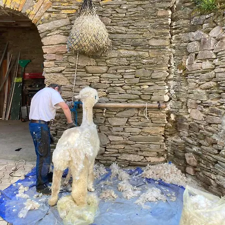 L'escapade De Jos , Et Table D'hote Bed & Breakfast *