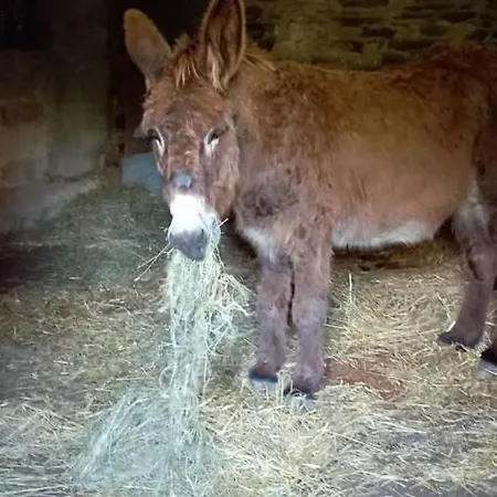 L'escapade De Jos , Et Table D'hote Bed & Breakfast Pont-de-Salars