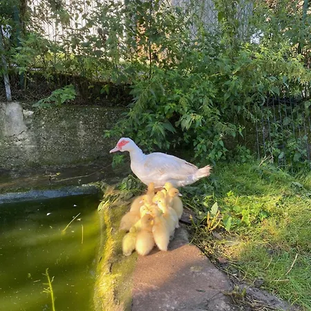 L'escapade De Jos , Et Table D'hote Bed & Breakfast