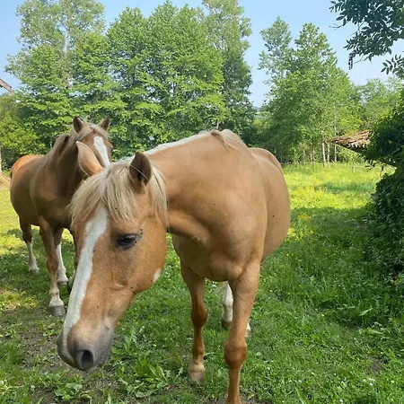 L'escapade De Jos , Et Table D'hote