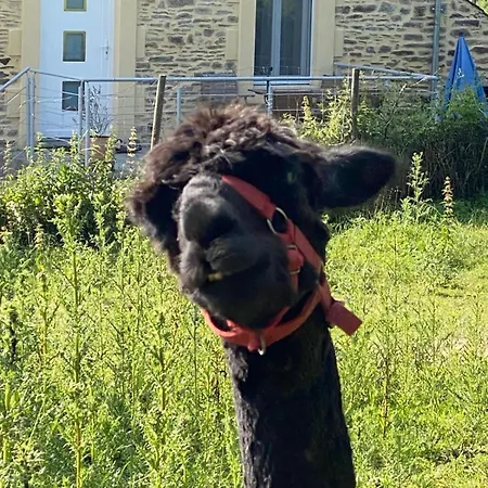 L'escapade De Jos , Et Table D'hote Bed & Breakfast *