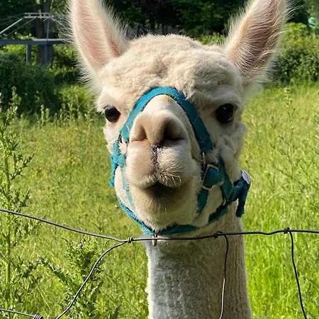 Bed & Breakfast L'escapade De Jos , Et Table D'hote *