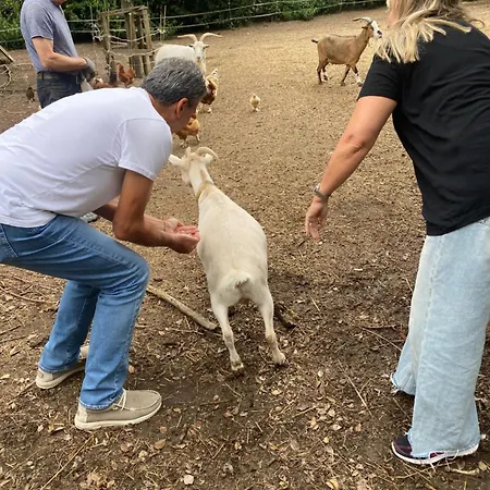 L'escapade De Jos , Et Table D'hote * Pont-de-Salars