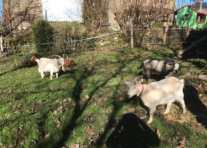 L'escapade De Jos , Et Table D'hote Отель типа 