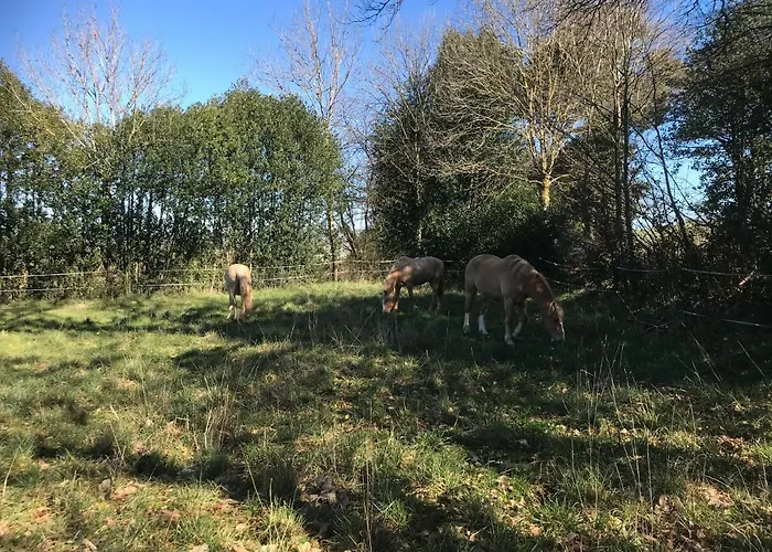 L'escapade De Jos , Et Table D'hote