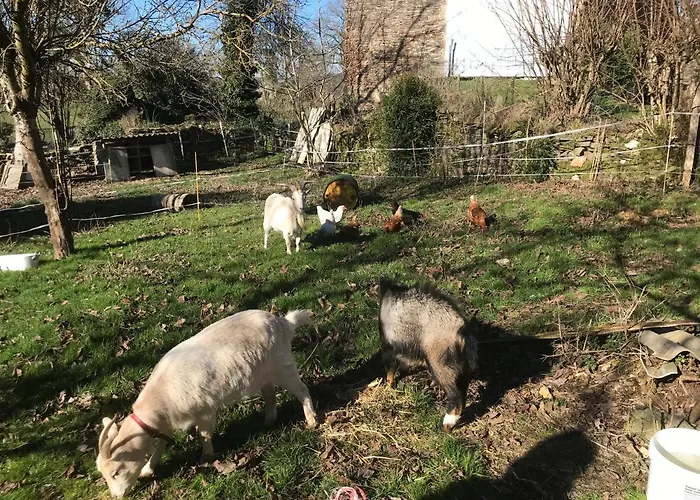 L'escapade De Jos , Et Table D'hote Bed & Breakfast