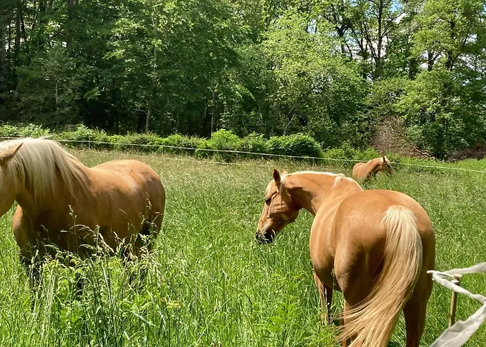L'escapade De Jos , Et Table D'hote Bed & Breakfast Pont-de-Salars