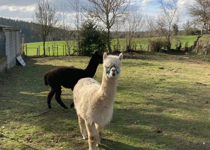 L'escapade De Jos , Et Table D'hote לינה וארוחת בוקר *