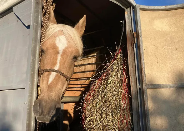 Bed & Breakfast L'escapade De Jos , Et Table D'hote Pont-de-Salars