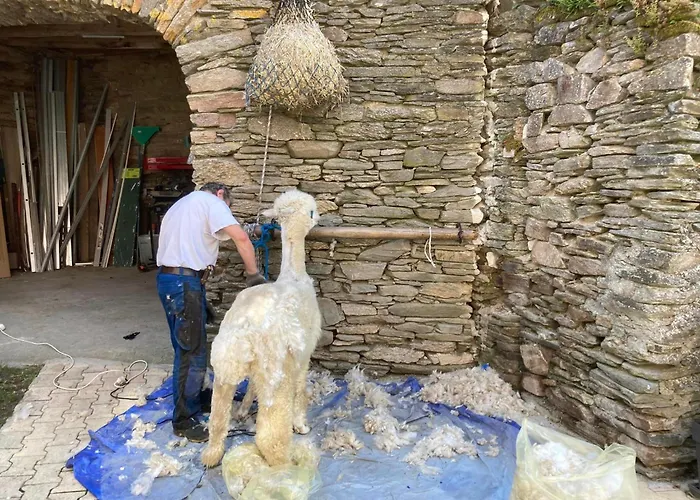 L'escapade De Jos , Et Table D'hote Bed & Breakfast *