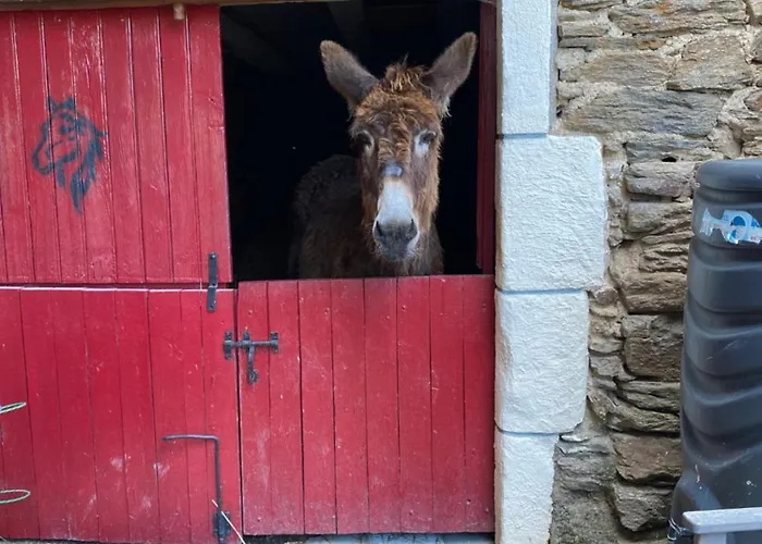 L'escapade De Jos , Et Table D'hote Pont-de-Salars