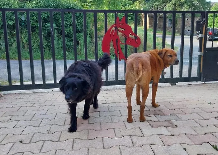 L'escapade De Jos , Et Table D'hote *