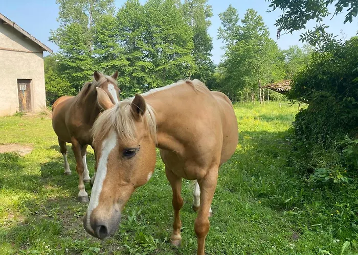 L'escapade De Jos , Et Table D'hote